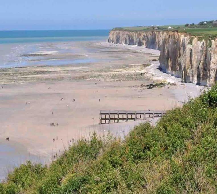 Superbe Appartement Entre Mer Et Ville Dieppe Zewnętrze zdjęcie